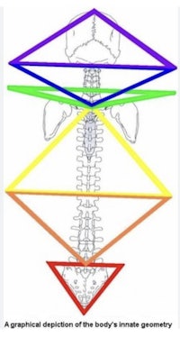 a graphic depiction of the body's energetic geometry